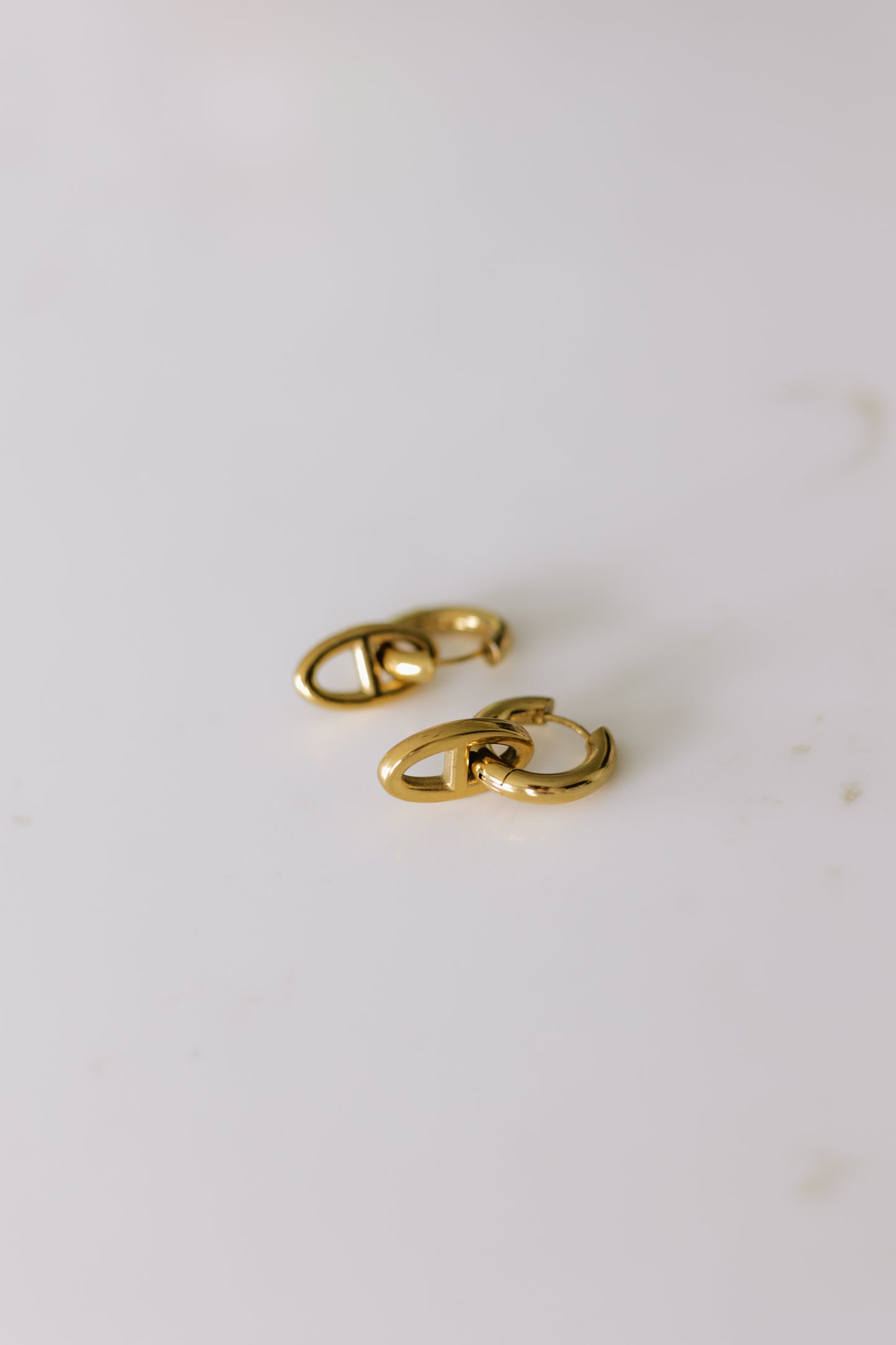The Link Clasp Earrings