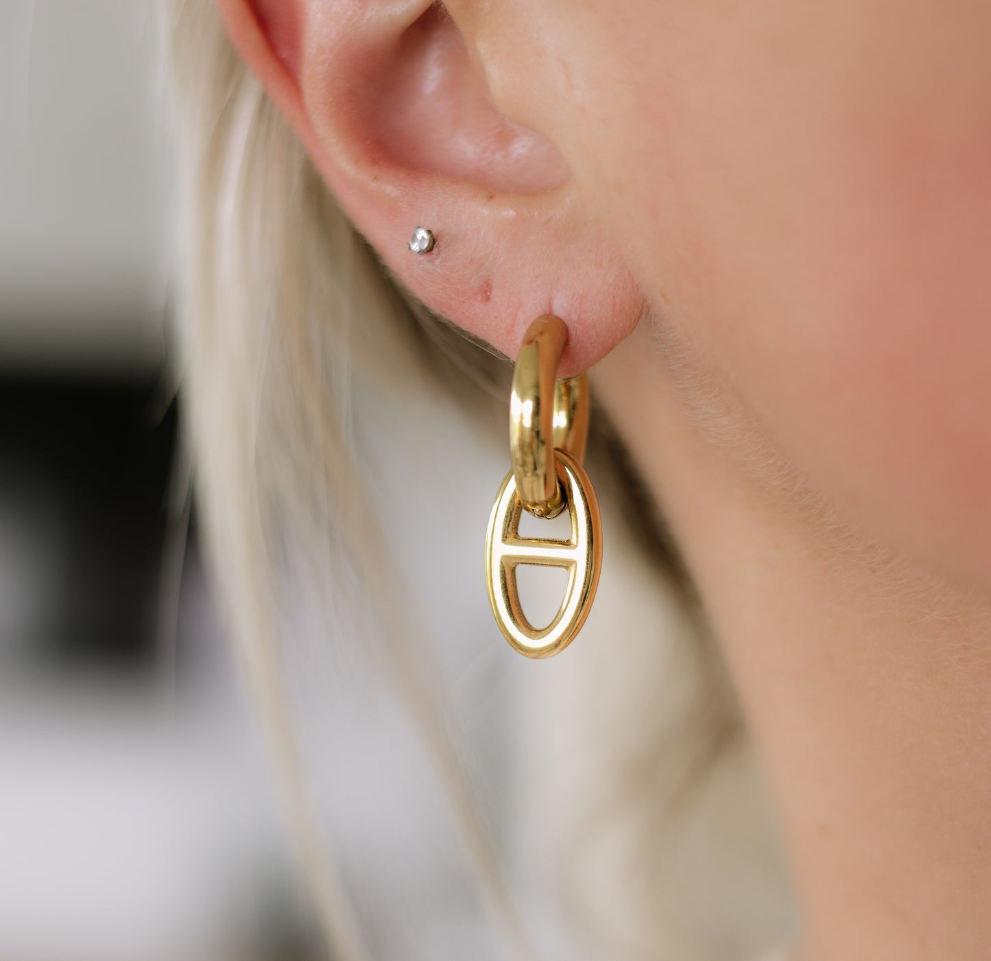 The Link Clasp Earrings